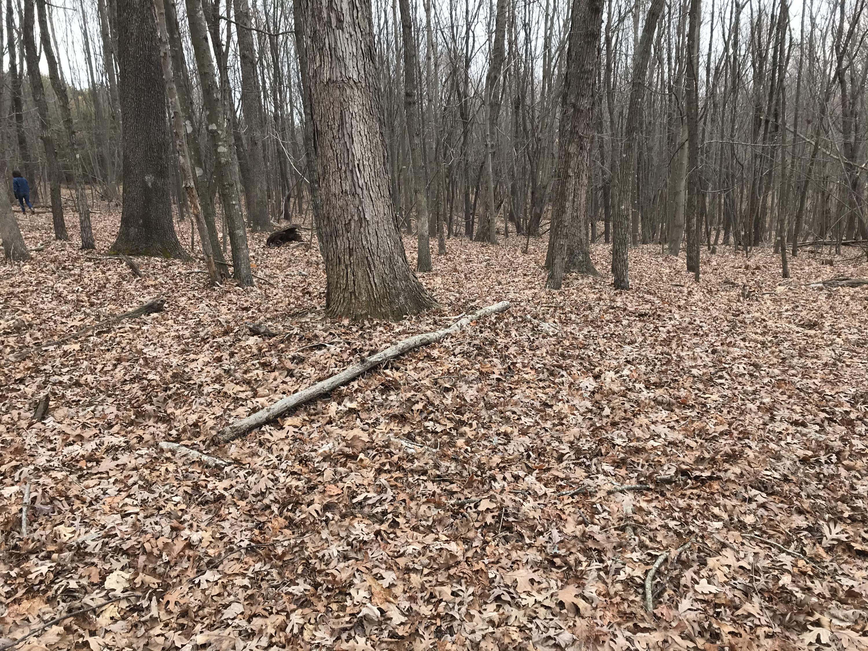 3298 Sago Road Callands, VA 24530 - Photo 10 of 15 a view of wooden fence of a house