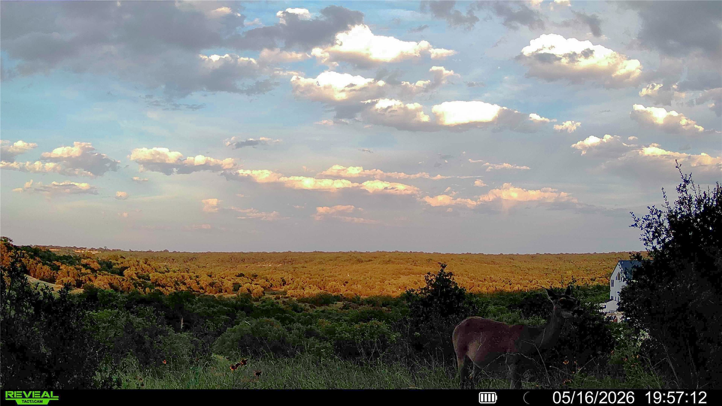 0 Trails End Road Leander, TX 78641 - Photo 34 of 40 a view of sunset