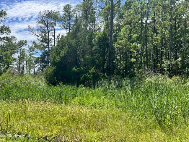 $174,000 | 9918 Canady Landing Road, Aurora, NC 27806