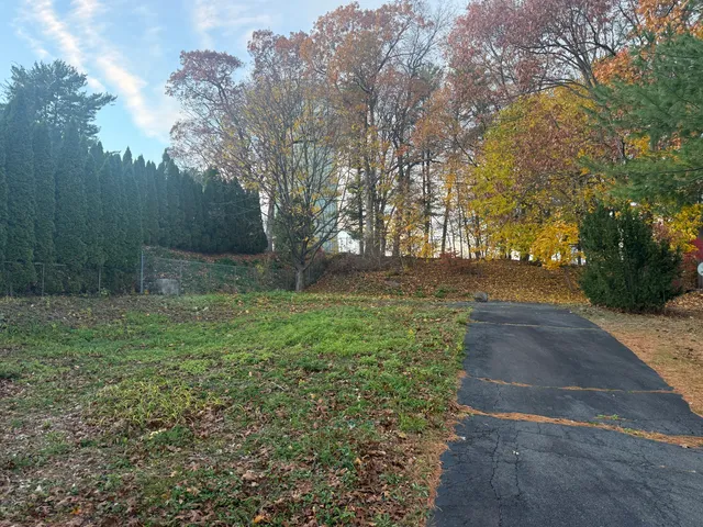 a view of backyard with green space