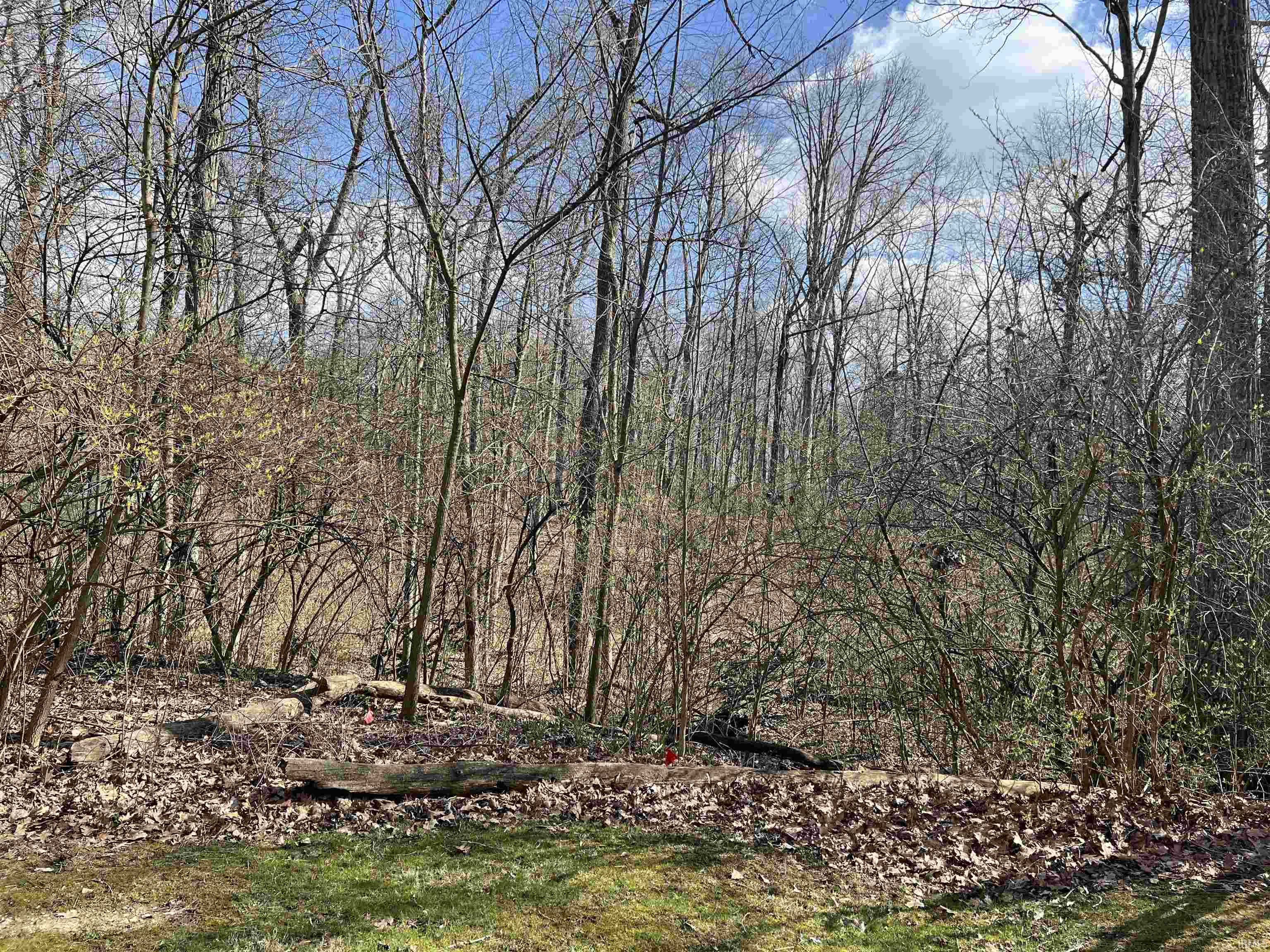 13135 Ravine Trail Fort Wayne, IN 46814 - Photo 2 of 3