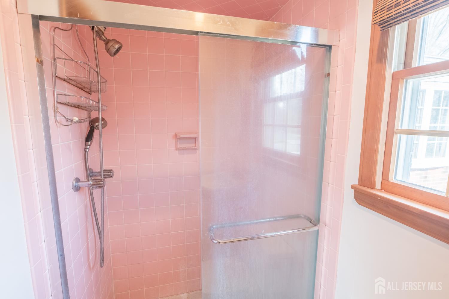 12 Francis Road East Brunswick, NJ 08816 - Photo 38 of 66 a bathroom with a shower curtain and a window
