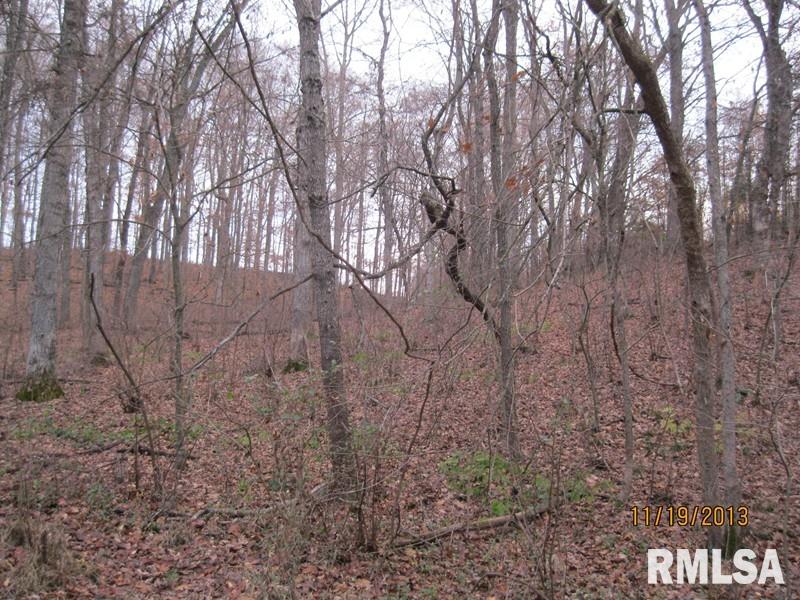 435 North County Line Road Cobden, IL 62920 - Photo 3 of 13 Gallery Image 3