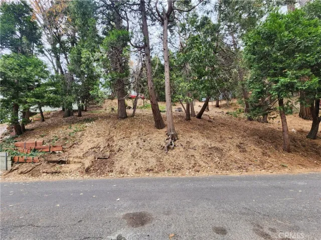 a backyard of a house with lots of trees