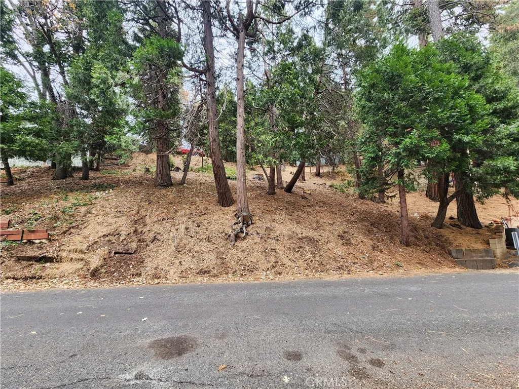 0 Horst Crestline, CA 92325 - Photo 5 of 15 a view of a yard with a tree