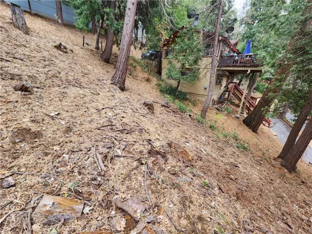 a view of a backyard with plants and a tree