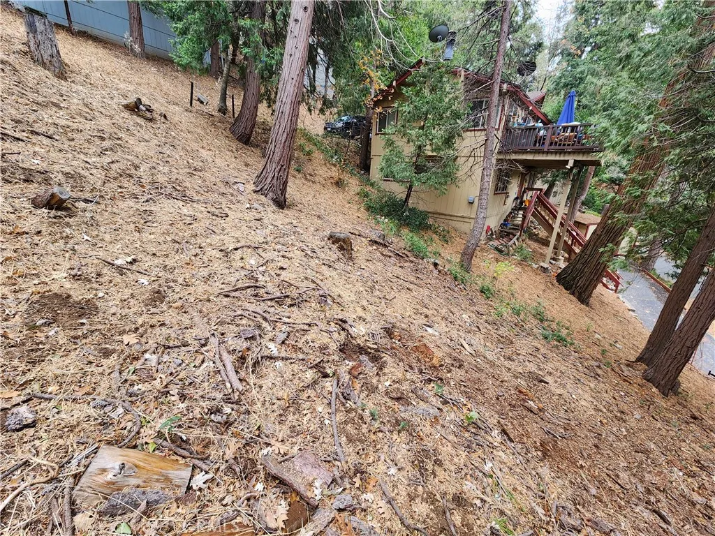 0 Horst Crestline, CA 92325 - Photo 6 of 15 a view of a backyard with plants and a tree