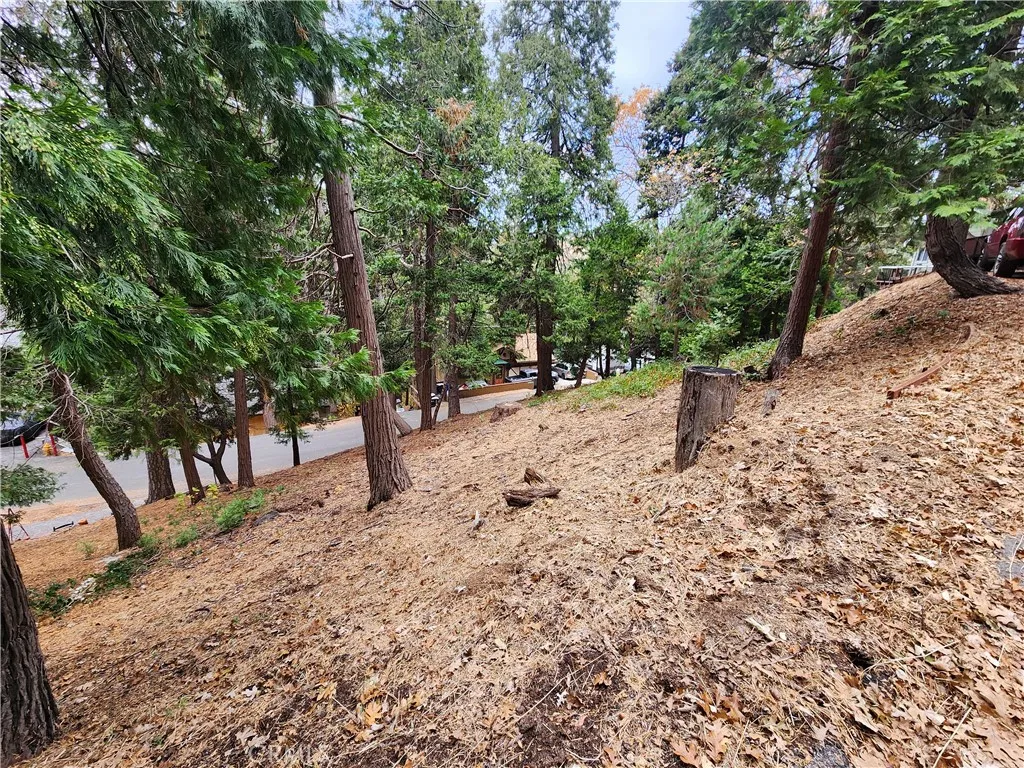 0 Horst Crestline, CA 92325 - Photo 10 of 15 a view of a forest filled with trees