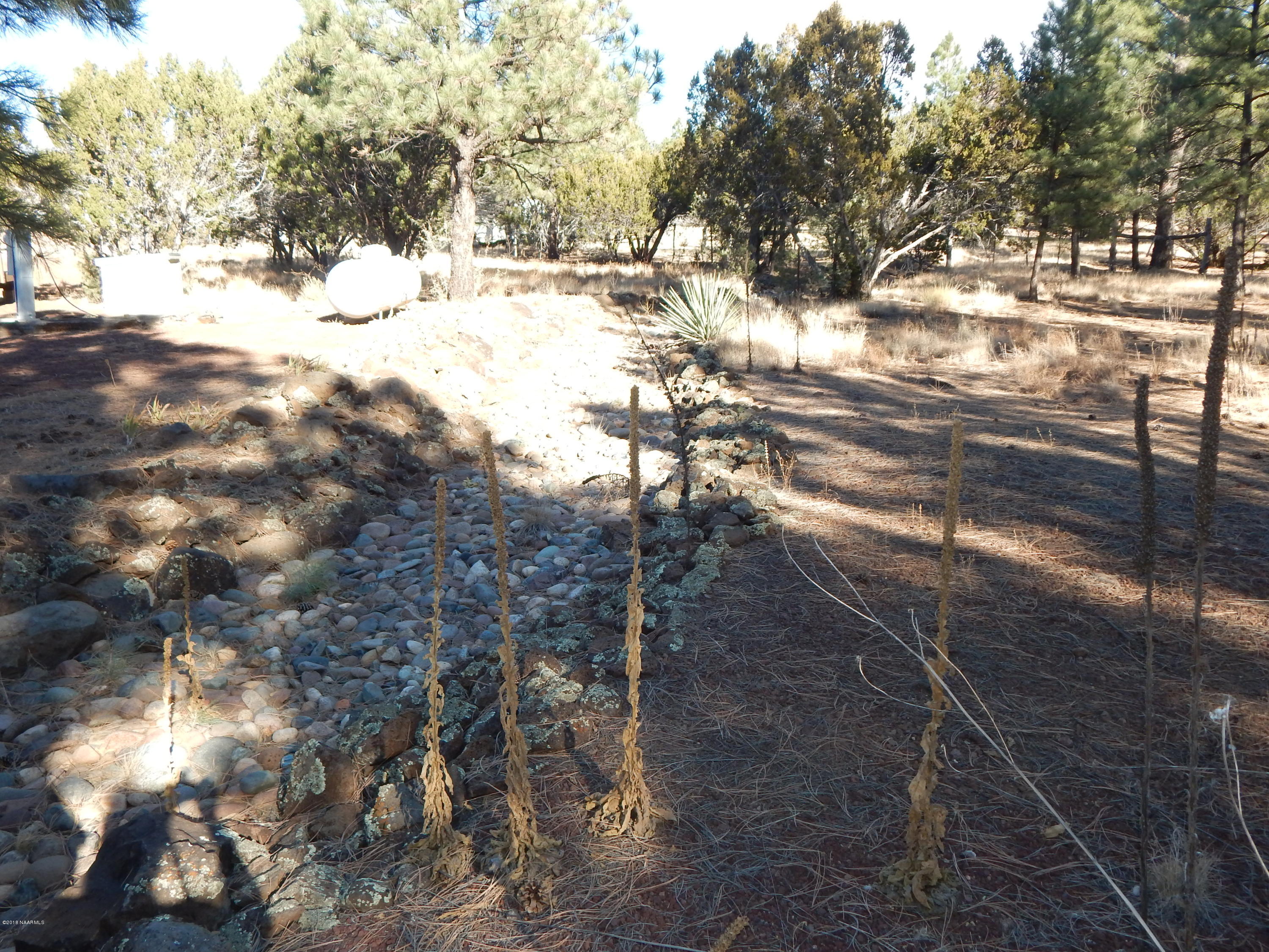 6366 North Santa Fe Road Williams, AZ 86046 - Photo 12 of 35 DSCN1135 - Copy