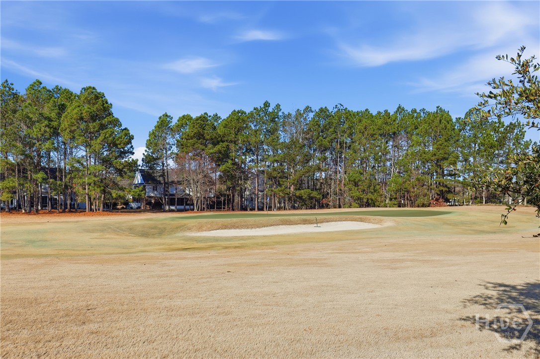 141 Mallory Place Pooler, GA 31322 - Photo 32 of 49 Golf course