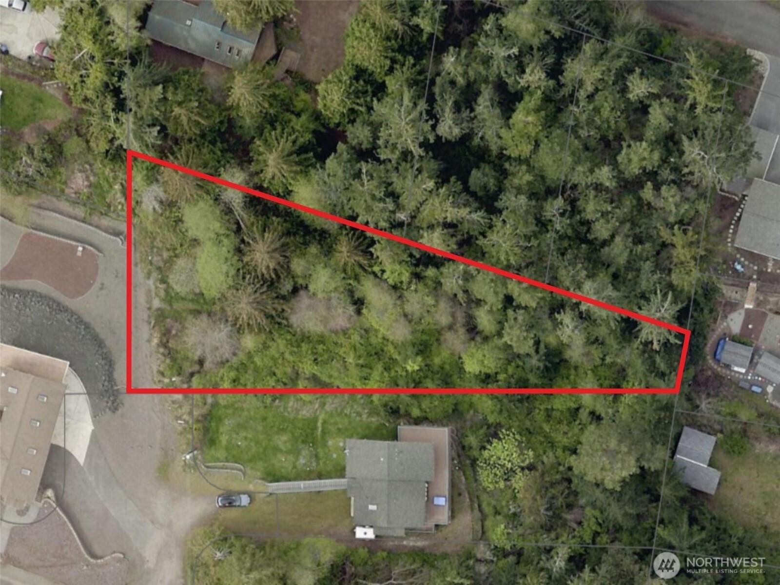 a view of a flower in a garden