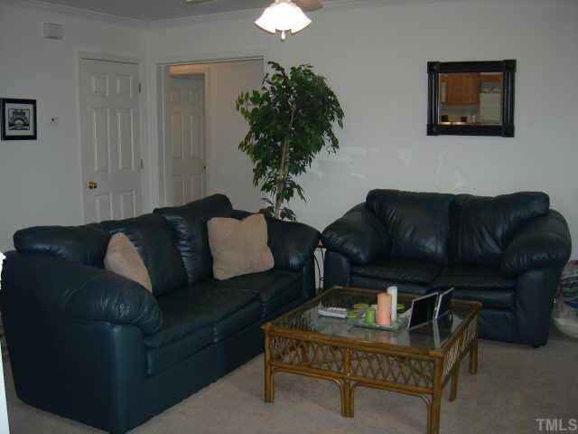 112 Fieldspring Lane Raleigh, NC 27606 - Photo 3 of 10 a living room with furniture and a potted plant