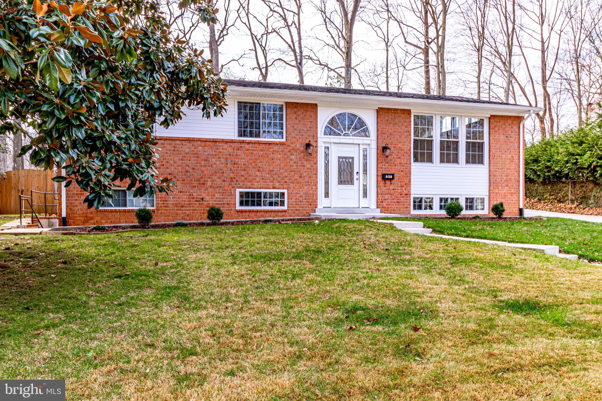 8426 Thames Street Springfield, VA 22151 - Photo 4 of 63