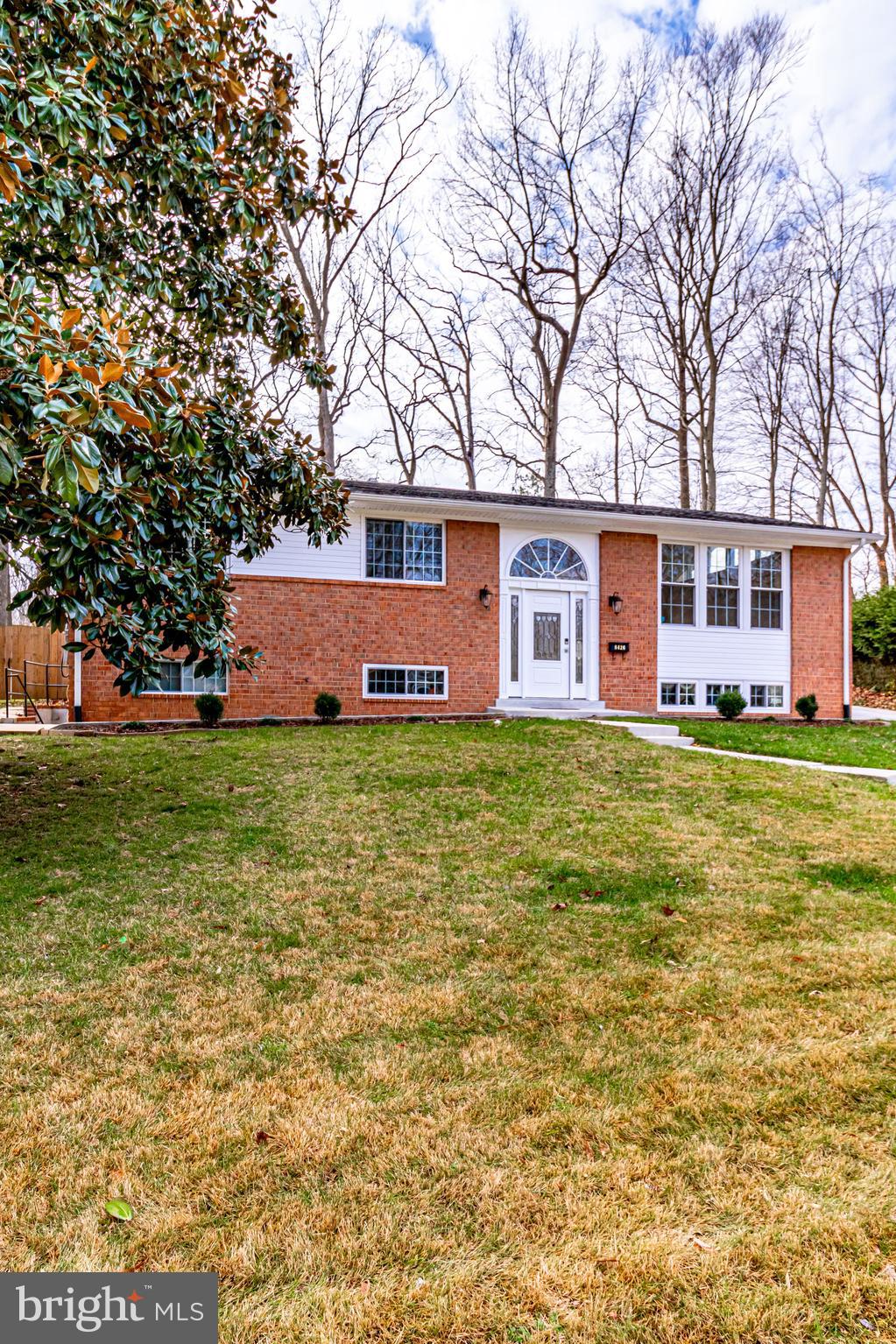 8426 Thames Street Springfield, VA 22151 - Photo 5 of 63
