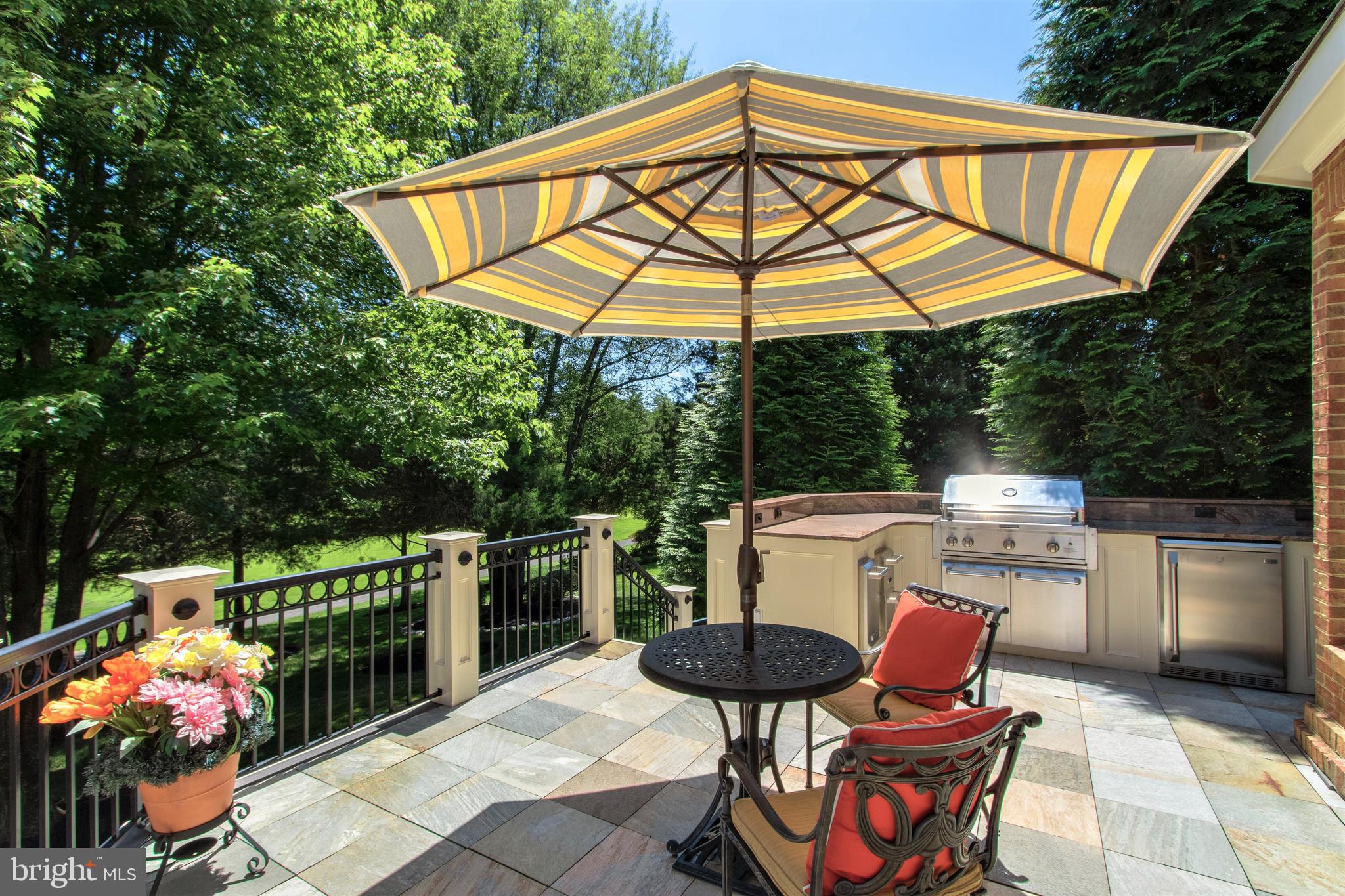 8314 Roxborough Loop Gainesville, VA 20155 - Photo 23 of 93 Built-in Outdoor Kitchen with Gas Grill & Fridge