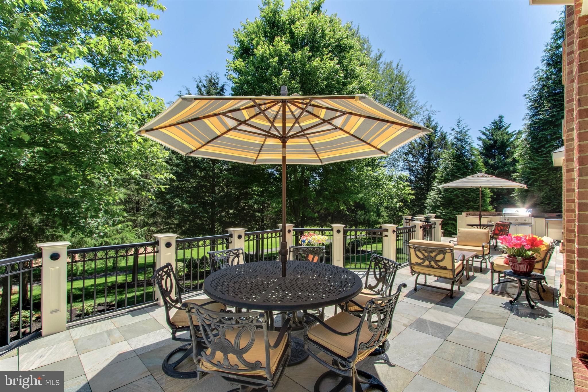 8314 Roxborough Loop Gainesville, VA 20155 - Photo 24 of 93 Slate Tile Decking & Metal Balusters