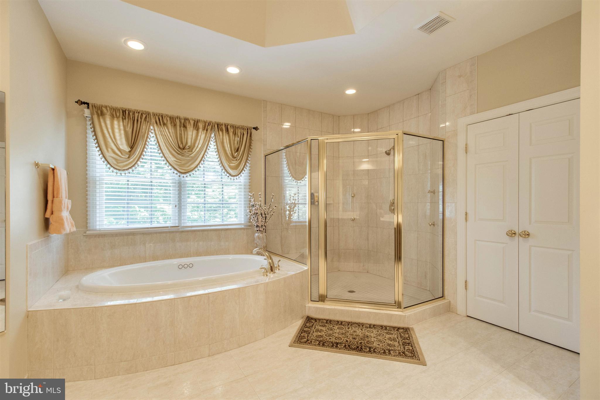 8314 Roxborough Loop Gainesville, VA 20155 - Photo 43 of 93 Deep Whirlpool Tub & Large Tiled Shower