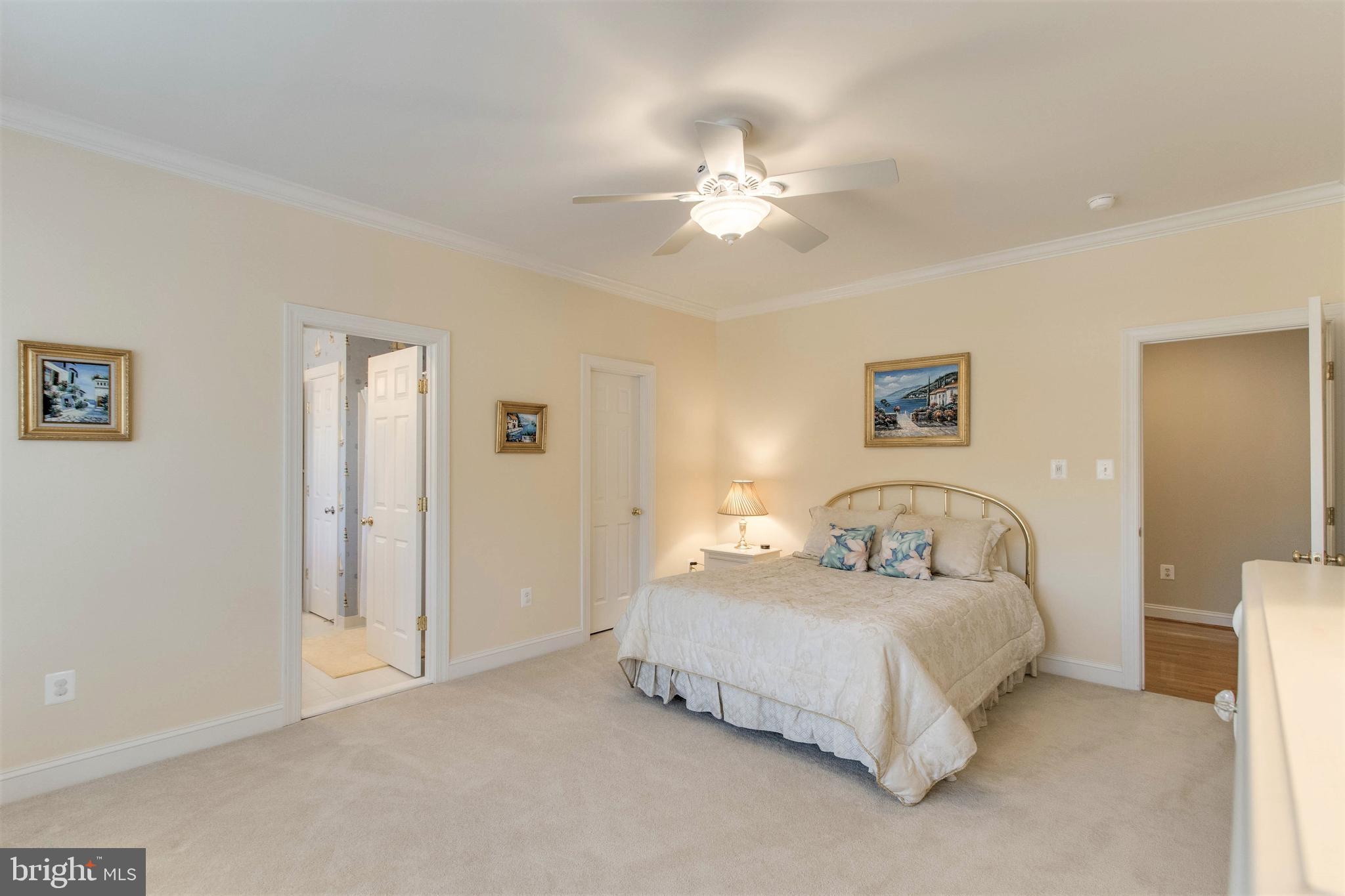 8314 Roxborough Loop Gainesville, VA 20155 - Photo 50 of 93 All Bedrooms have Ceiling Fans with Lights