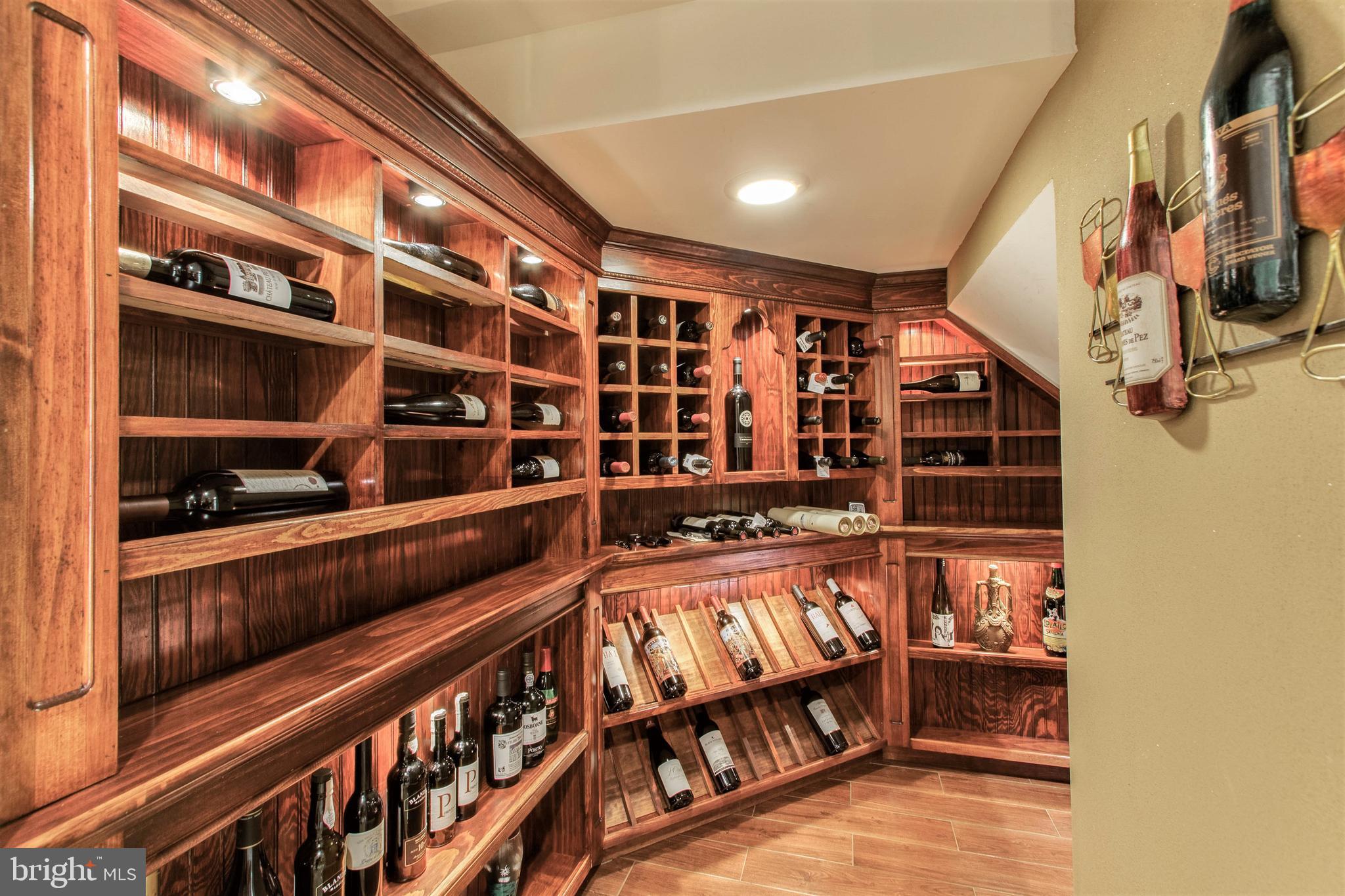8314 Roxborough Loop Gainesville, VA 20155 - Photo 58 of 93 Custom Wine Grotto with Feature Lighting