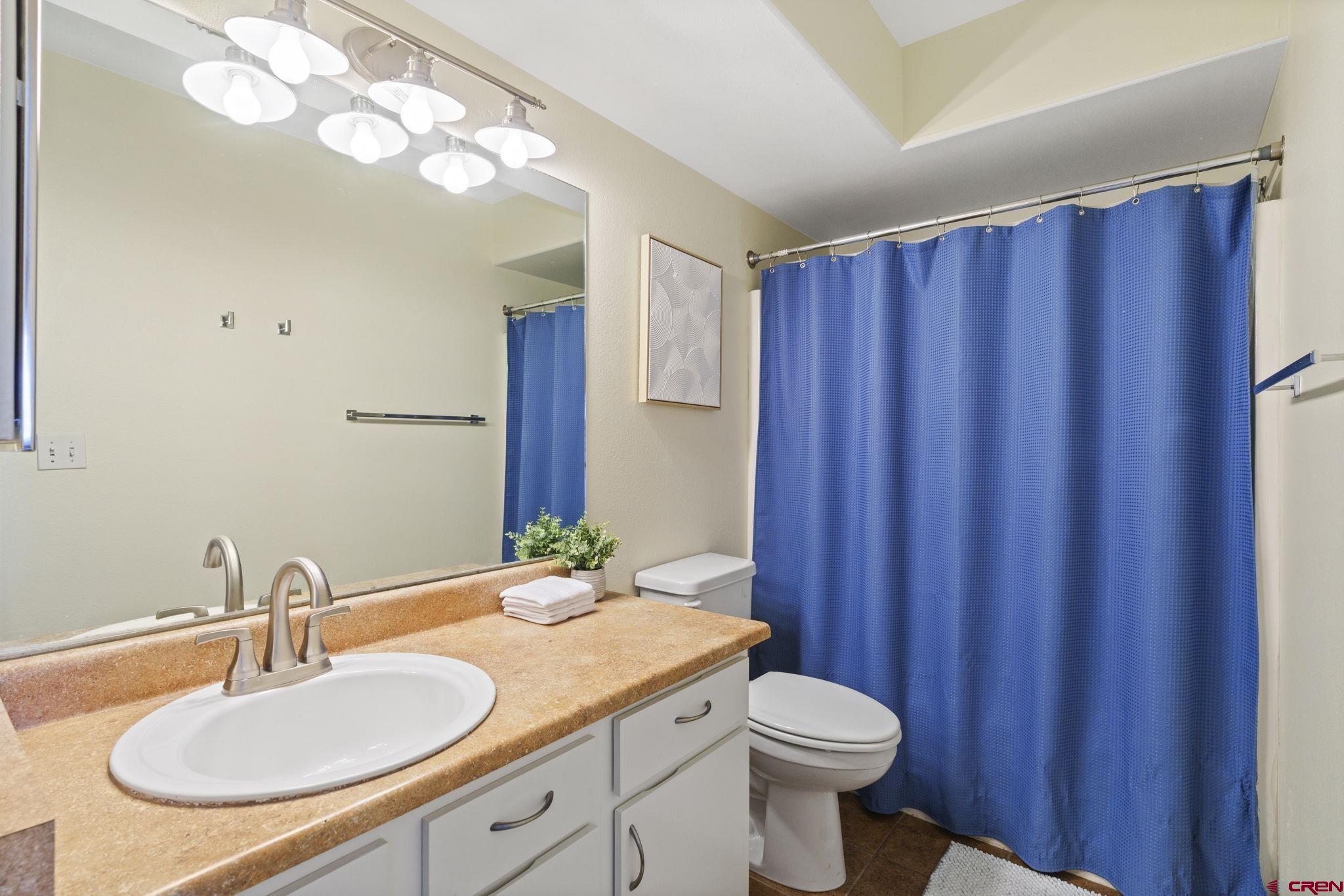 1100 Goeglein Gulch Road, Unit 233 Durango, CO 81301 - Photo 16 of 37 a bathroom with a sink a toilet and mirror