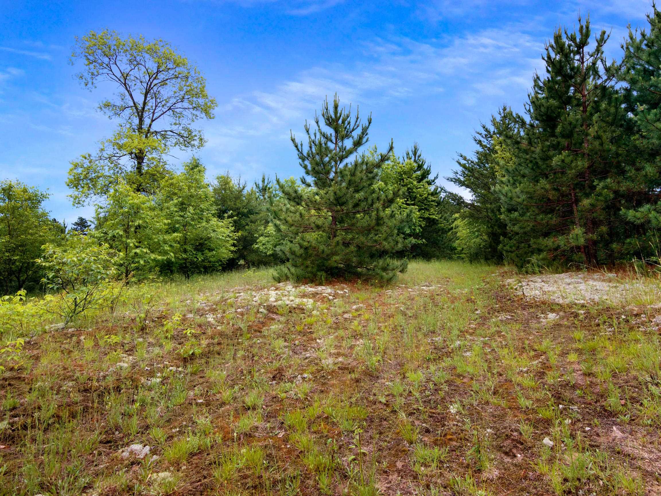 0 Maple Farms Lane Kingsley, MI 49649 - Photo 7 of 21 1947367-b92f5304-a2bf-4ee6-b3fb-f1d7193ffecd.JPG
