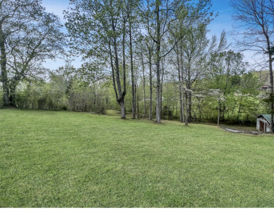 237 Higgs Road Big Rock, TN 37023 - Photo 13 of 19 a view of a park