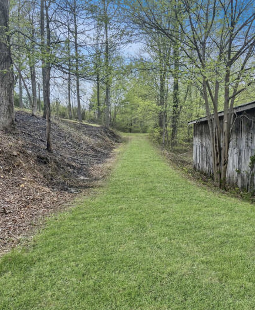 237 Higgs Road Big Rock, TN 37023 - Photo 14 of 19 a backyard of a house with lots of green space