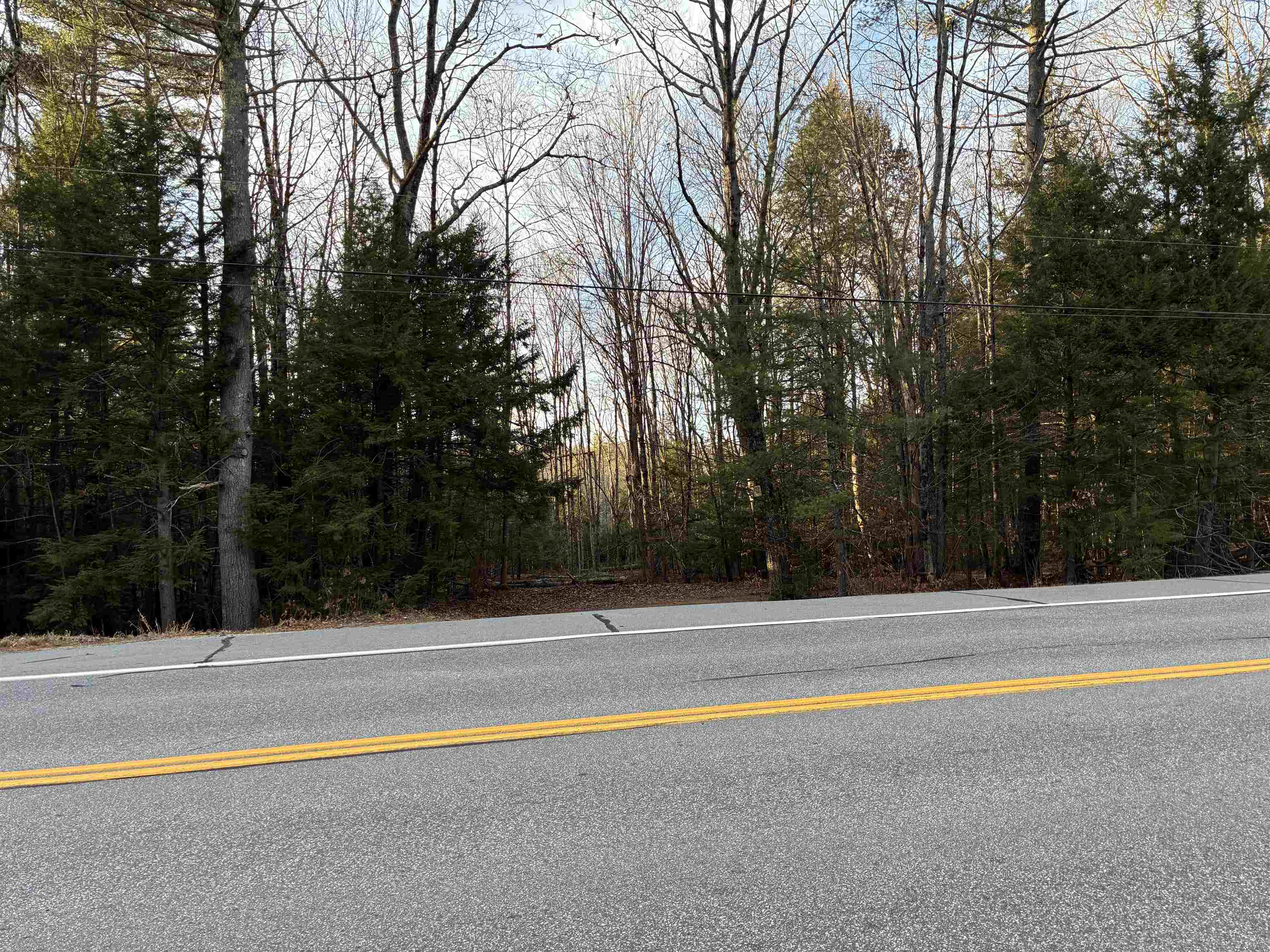 Cavender Road Hancock, NH 03449 - Photo 4 of 6