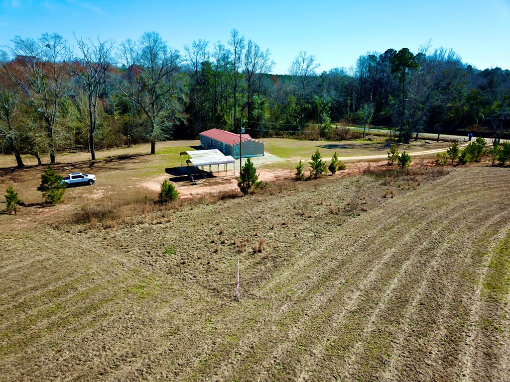 1964 County Line Road Dothan, AL 36305 - Photo 51 of 92