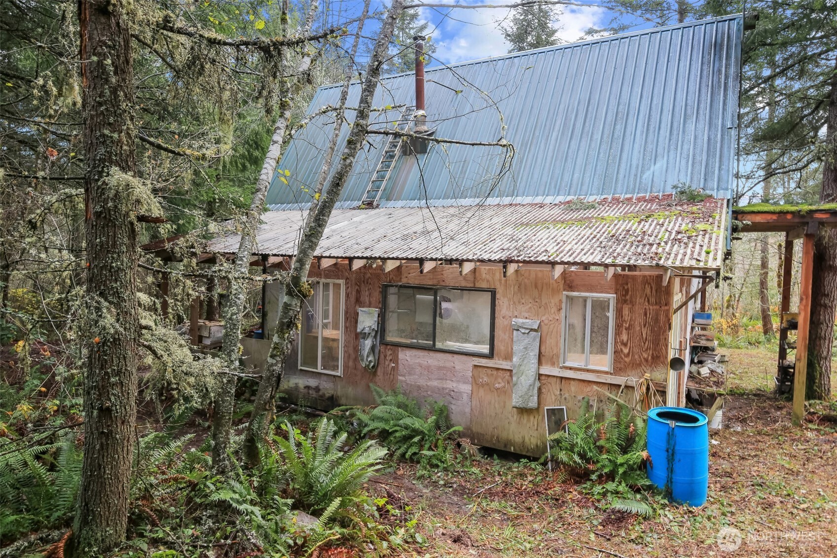 15411 Alder Mashel Connection Road East Eatonville, WA 98328 - Photo 7 of 18 a view of a backyard with plants