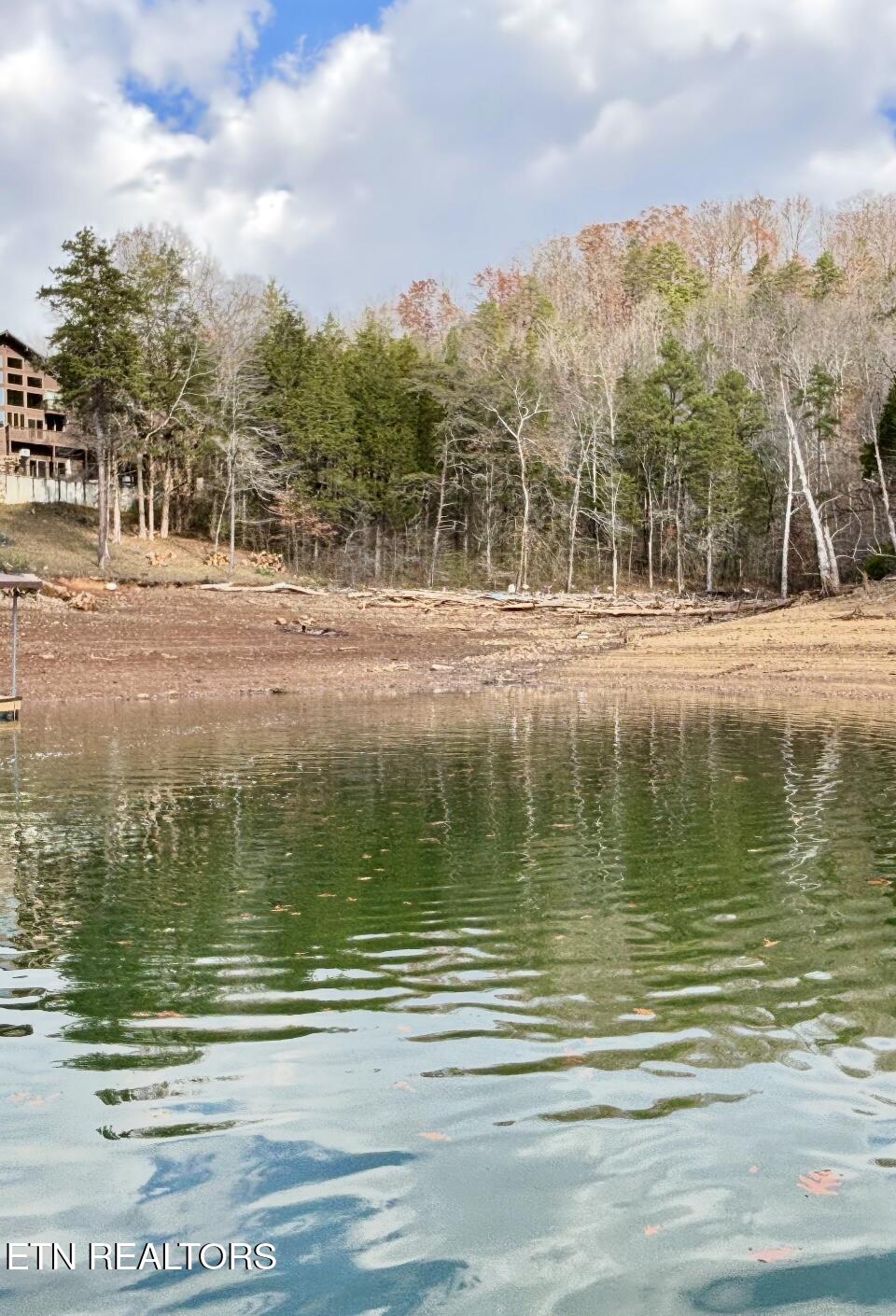 Bridle Way Speedwell, TN 37870 - Photo 1 of 7 IMG_2343