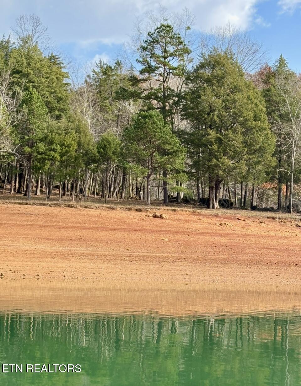 Bridle Way Speedwell, TN 37870 - Photo 3 of 7 IMG_2339