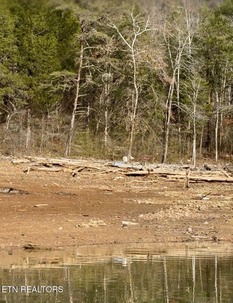 Bridle Way Speedwell, TN 37870 - Photo 4 of 7 IMG_2341