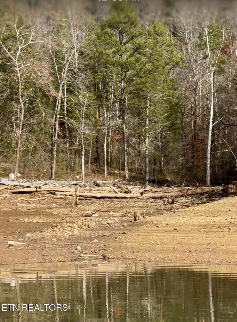 Bridle Way Speedwell, TN 37870 - Photo 5 of 7 IMG_2342