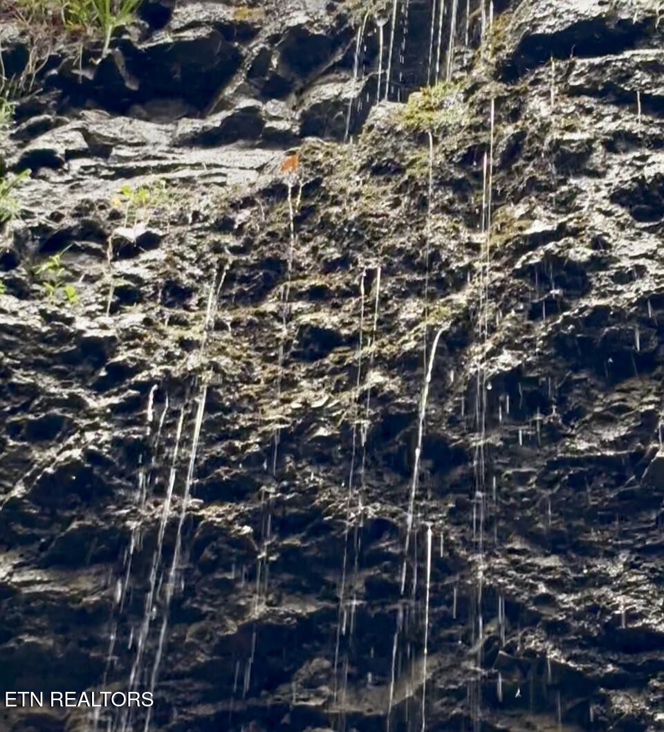 Bridle Way Speedwell, TN 37870 - Photo 6 of 7 IMG_2346