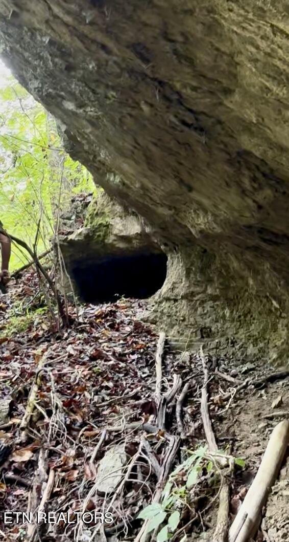 Bridle Way Speedwell, TN 37870 - Photo 7 of 7 IMG_2348