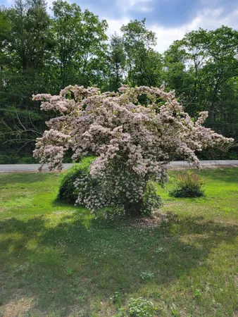 $469,000 | 46 North Gorham Road, Gorham, ME 04038