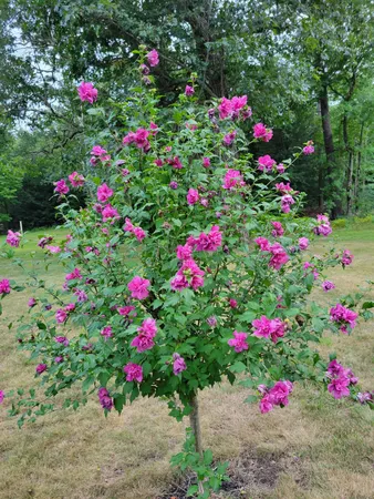 $469,000 | 46 North Gorham Road, Gorham, ME 04038