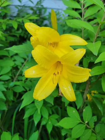 $469,000 | 46 North Gorham Road, Gorham, ME 04038