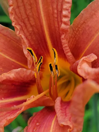 $469,000 | 46 North Gorham Road, Gorham, ME 04038