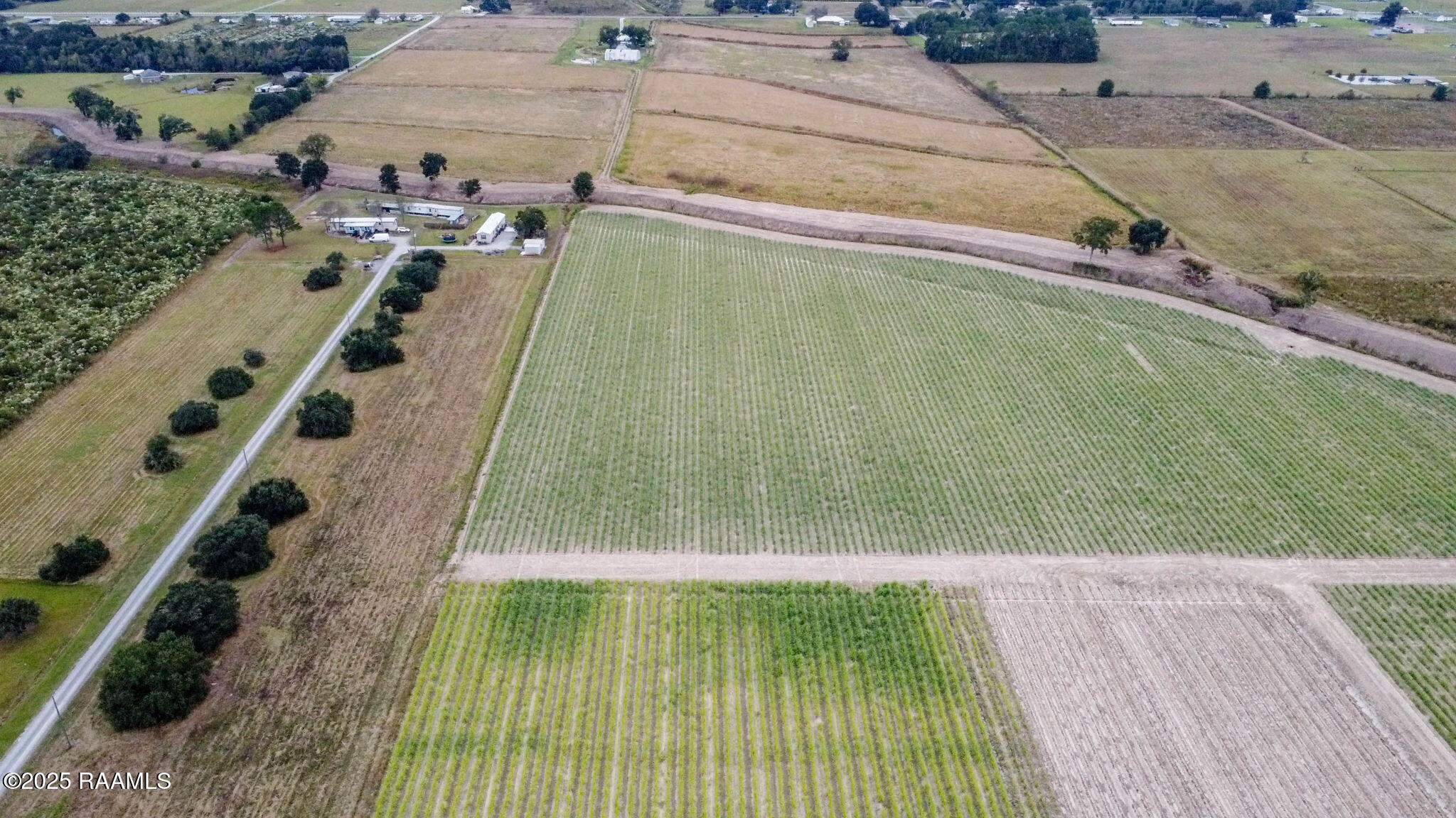 0 Hilton Road Maurice, LA 70555 - Photo 3 of 6 2-web-or-mls-000 Hilton Rd Aerials-2