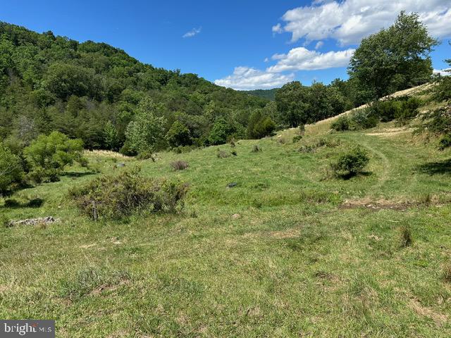 1096 Co Rte 10/2 Franklin, WV 26807 - Photo 5 of 23