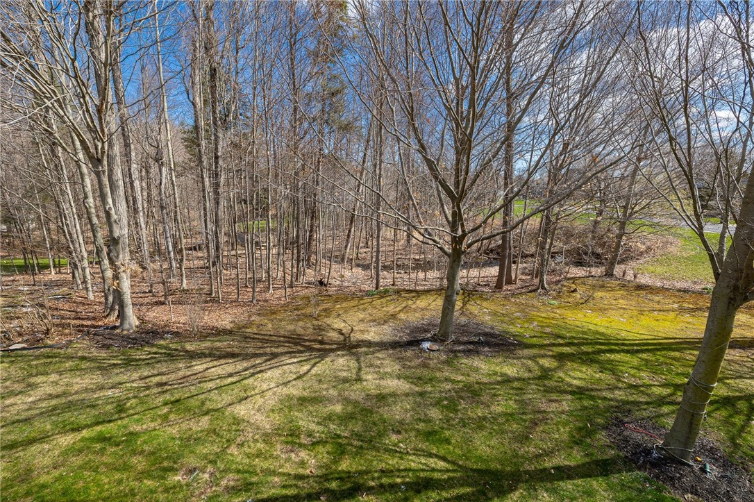 1540 Fallen Leaf Terrace Webster, NY 14580 - Photo 42 of 50