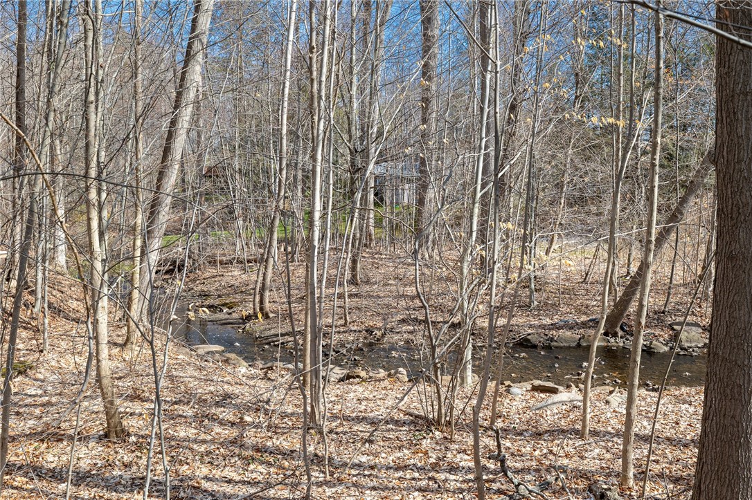 1540 Fallen Leaf Terrace Webster, NY 14580 - Photo 43 of 50