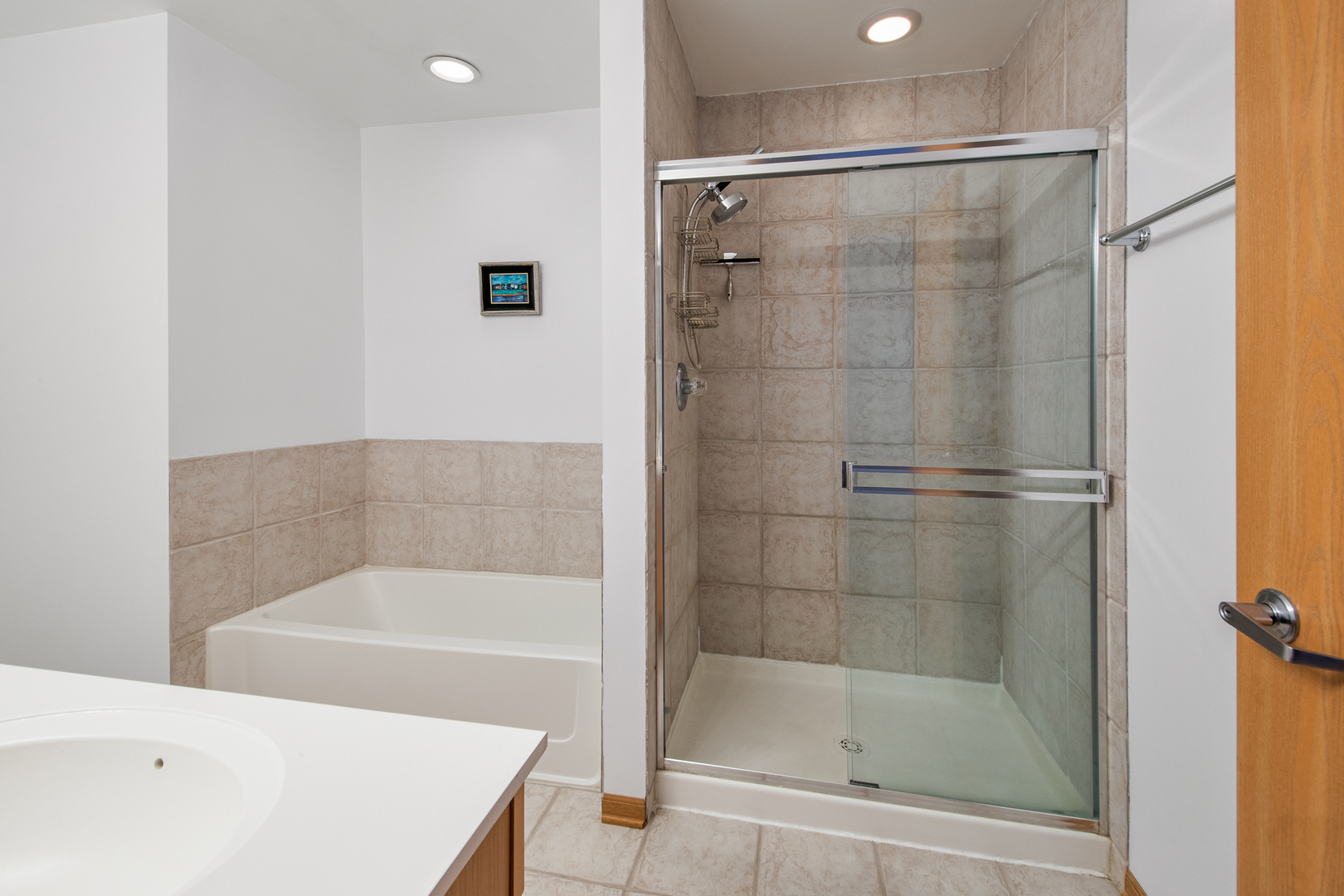 515 Main Street, Unit 505 Evanston, IL 60202 - Photo 10 of 15 a bathroom with a bathtub and a shower