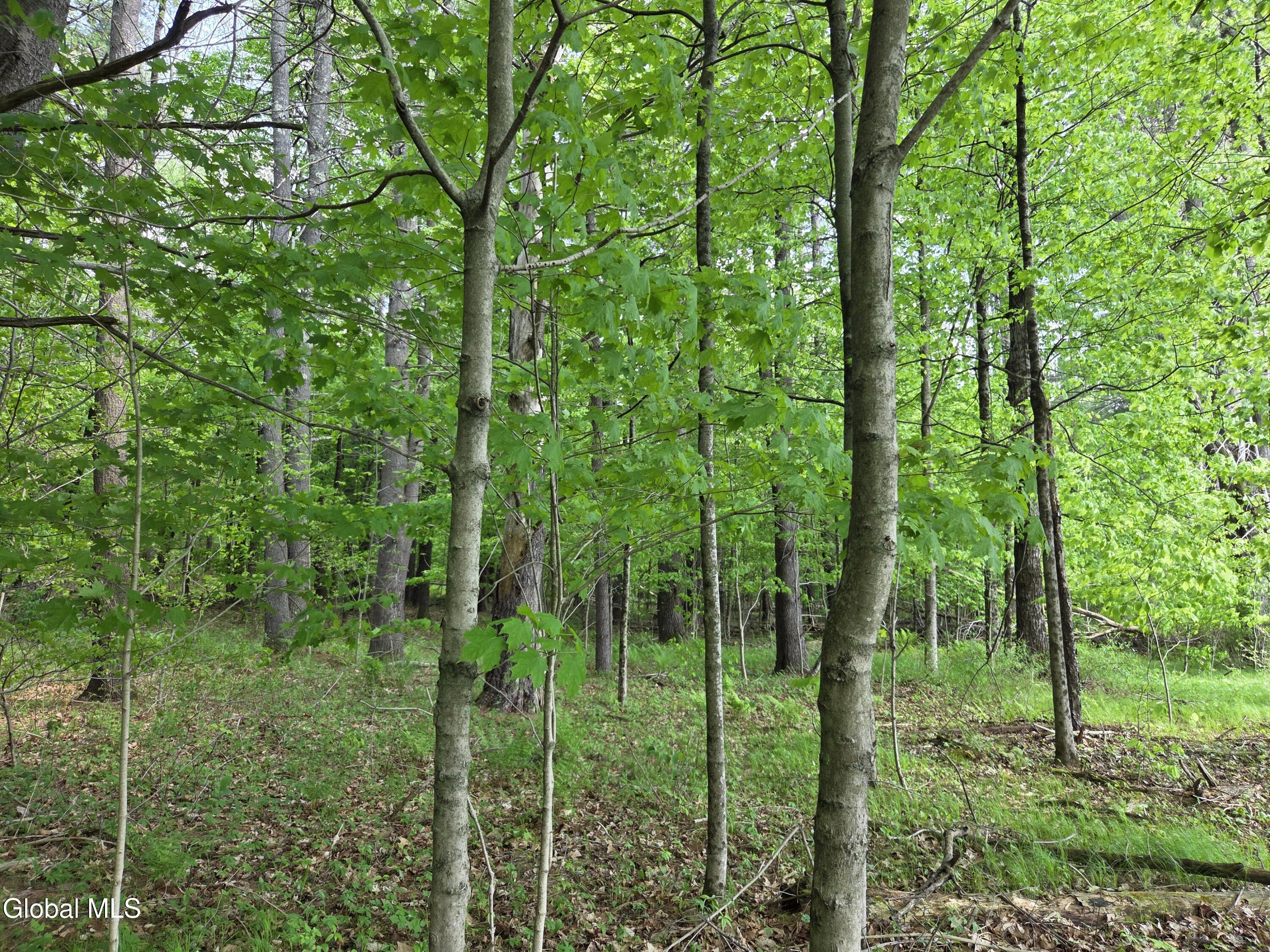 410 Middle Grove Road Middle Grove, NY 12850 - Photo 44 of 49 20260518_150450