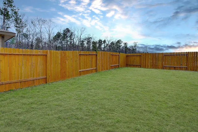 a view of a backyard