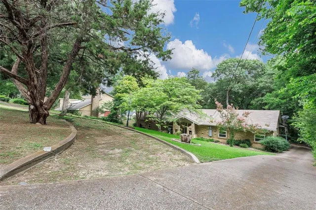 a view of a yard with plants and trees