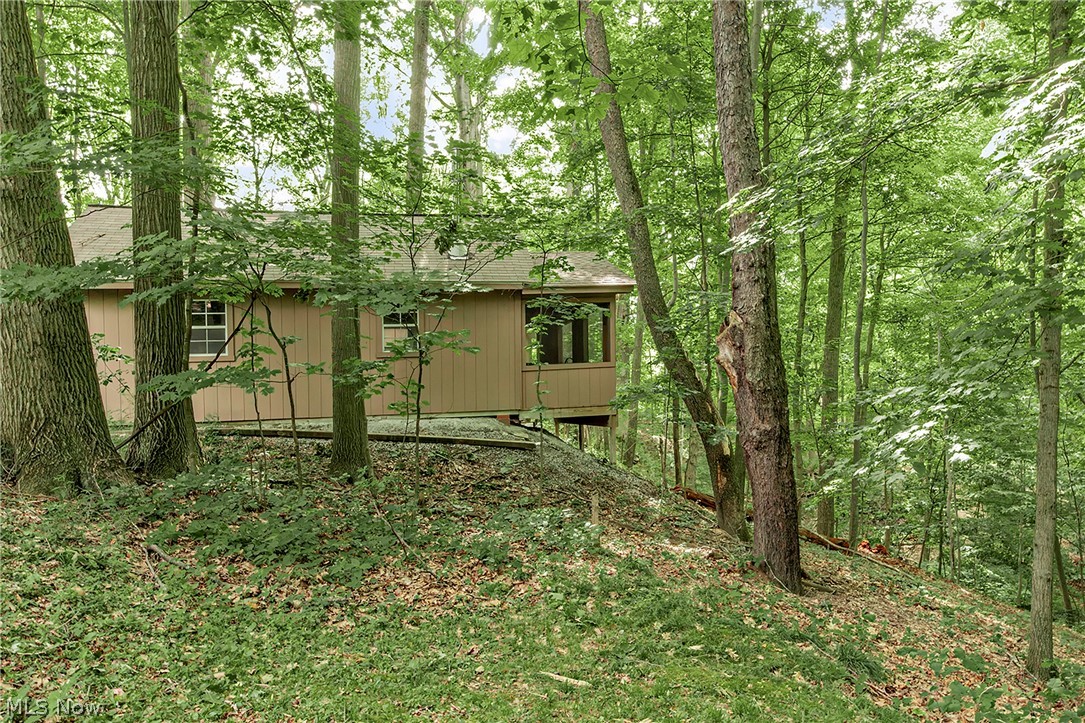 15490 Riddle Road Chagrin Falls, OH 44022 - Photo 41 of 47 side view of house