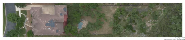 a view of a bunch of trees in a green space